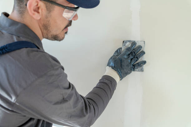 Professional Mold Removal in Rio Rico, AZ