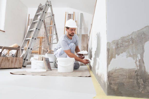 Best Black Mold Removal  in Rio Rico, AZ