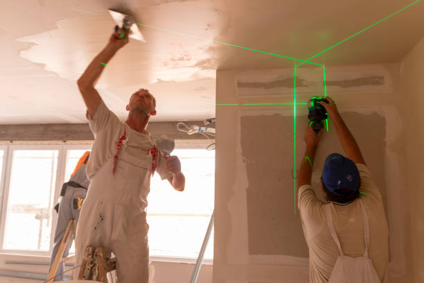 Best Post-Remediation Verification Testing  in Rio Rico, AZ