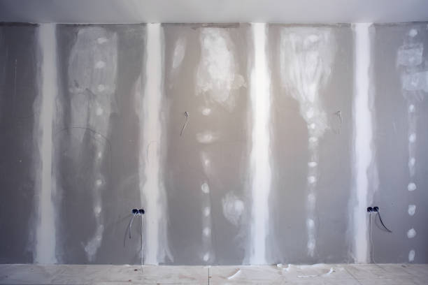 Best Commercial Mold Inspection  in Rio Rico, AZ